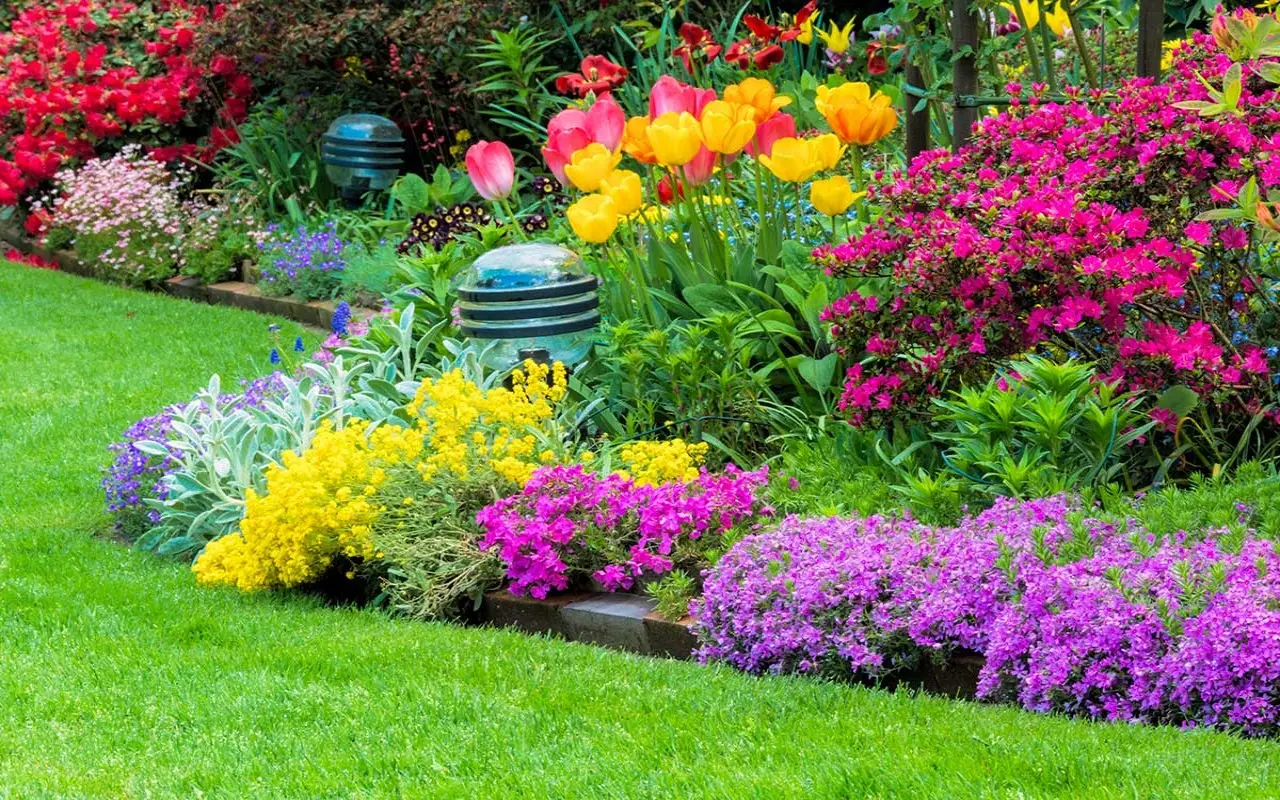 Cosa sono i fiori perenni? Ecco come scegliere i migliori per un giardino sempre fiorito