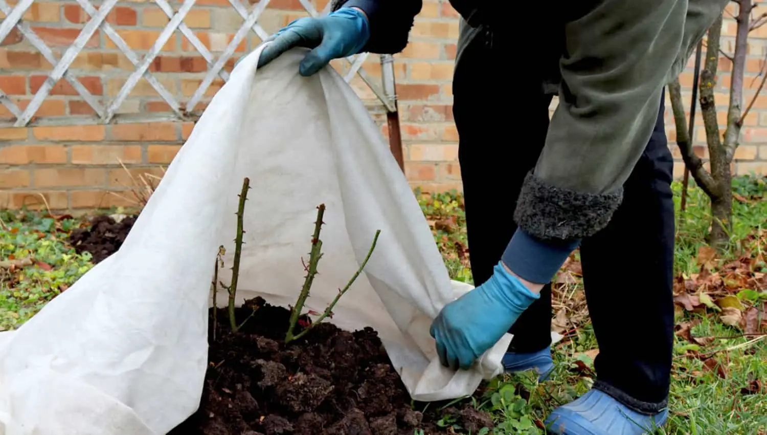 Non mettere mai il telo pacciamante in questo periodo dell’anno: ecco perché è inutile