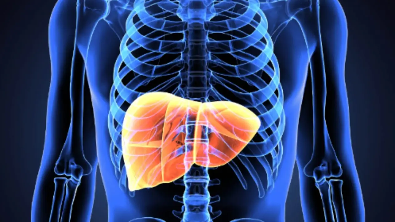 Hai il fegato affaticato? Ecco i pochi formaggi che puoi mangiare senza problemi